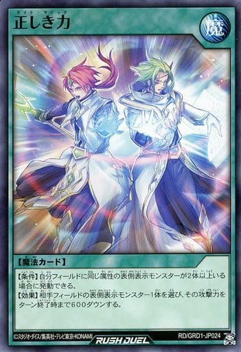 [N] RD/GRD1-JP024 正しき力