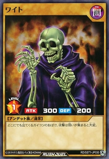 [N] RD/SST1-JP030 ワイト