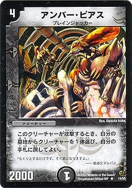 [R] 14/55 アンバー・ピアス