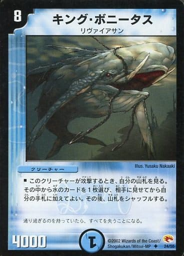 [U] 24/55 キング・ボニータス