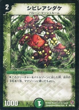 [U] 88/140 シビレアシダケ