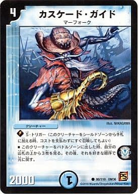 [C] 80/110 カスケード・ガイド