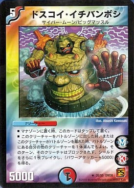 [R] 35/55 ドスコイ・イチバンボシ