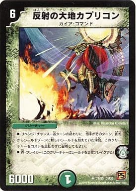 [U] 31/55 反射の大地カプリコン