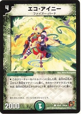 [C] 55/55 エコ・アイニー