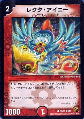 [C] 50/55 レクタ・アイニー(通常)