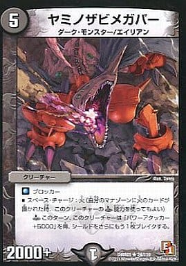 [R] 24/110 ヤミノザビメガパー
