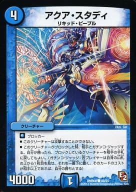 [C] 40/55 アクア・スタディ