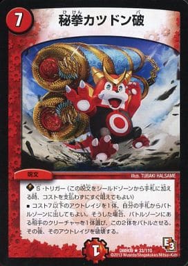 [R] 33/110 秘拳カツドン破