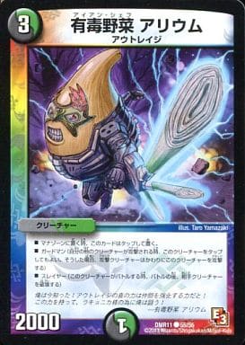 [C] 55/55 有毒野菜 アリウム