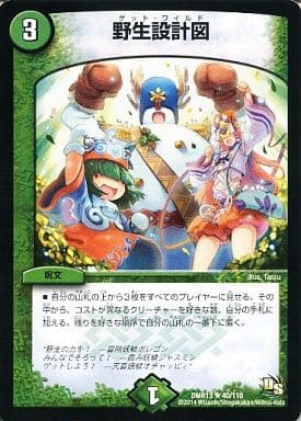 [R] 40/110 野生設計図