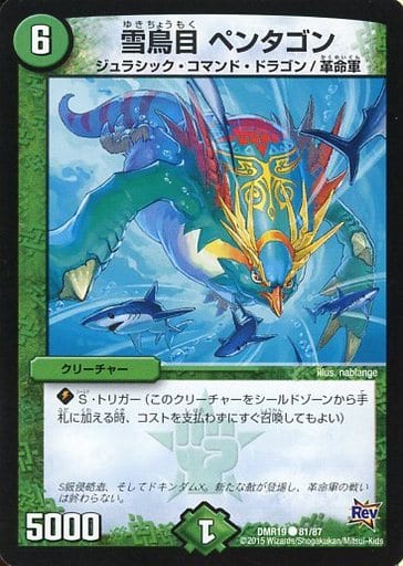 [C] 81/87 雪鳥目 ペンタゴン