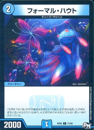 [C] 71/93 フォーマル・ハウト