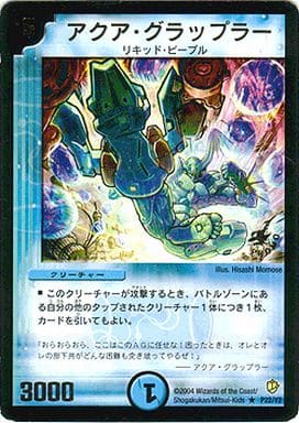[R] P22/Y2 アクア・グラップラー(箔押し)