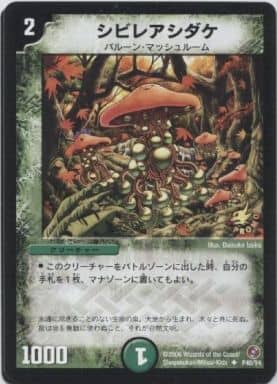 [U] P40/Y4 シビレアシダケ