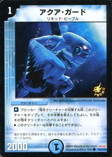 [C] P21/Y8 アクア・ガード