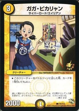 [C] P76/Y13 ガガ・ピカリャン