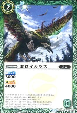 [C] BS24-021 ヨロイカラス