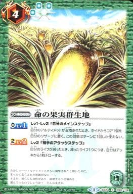 [C] BS24-090 命の果実群生地
