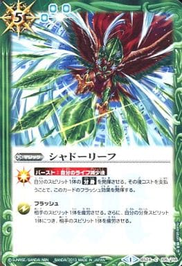 [C] BS24-105 シャドーリーフ