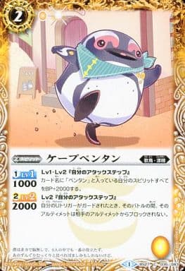[C] BS27-035 ケープペンタン
