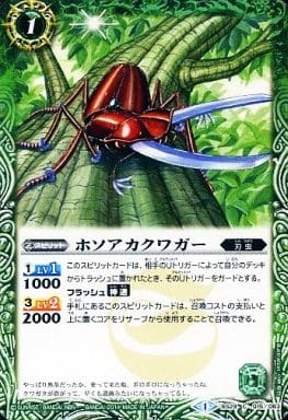 [C] BS29-015 ホソアカクワガー