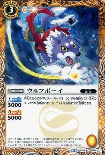[C] BS36-040 ウルフボーイ