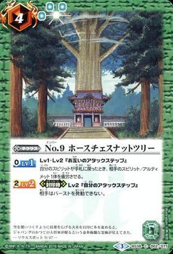 [C] BS38-062 No.9 ホースチェスナットツリー