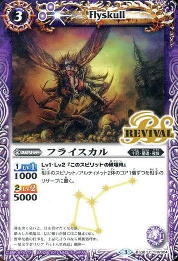 [C] BS38-RV004 フライスカル