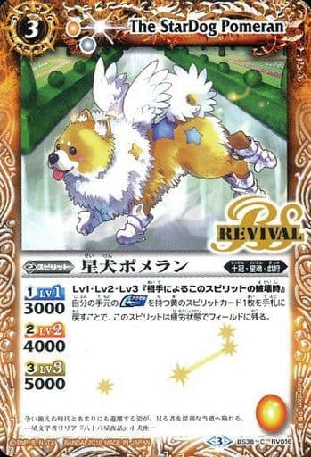 [C] BS38-RV016 星犬ポメラン