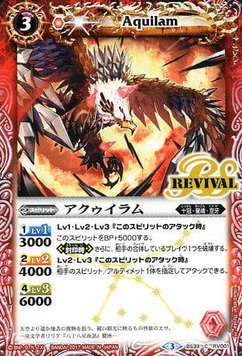 [C] BS39-RV001 アクゥイラム