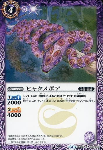 [C] BS40-016 ヒャクメボア
