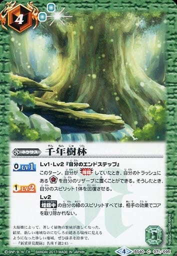 [C] BS40-071 千年樹林