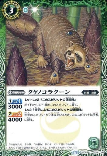 [C] BS41-025 タケノコラクーン