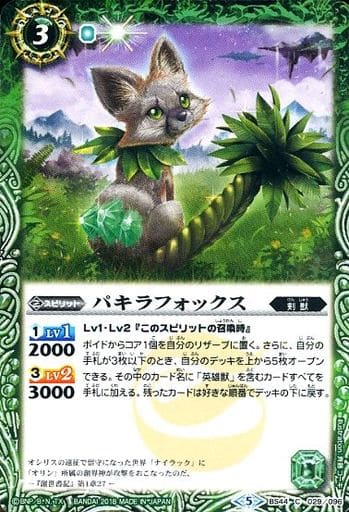 [C] BS44-029 パキラフォックス