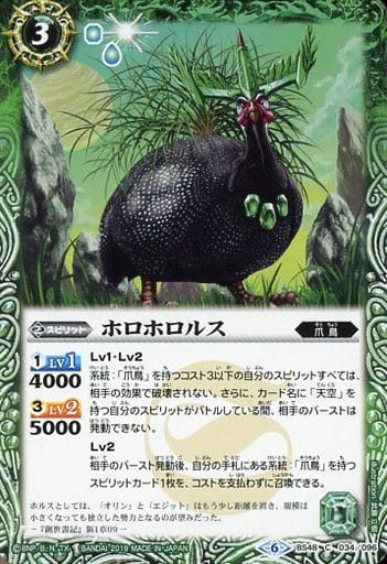 [C] BS48-034 ホロホロルス