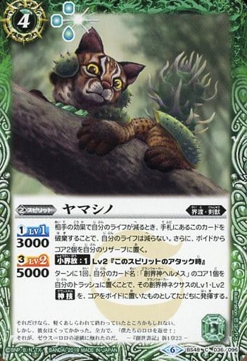 [C] BS48-036 ヤマシノ