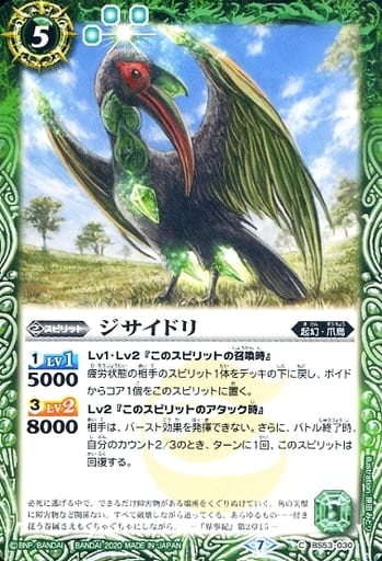 [C] BS53-030 ジサイドリ