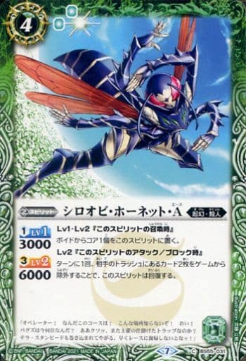 [C] BS55-031 シロオビ・ホーネット・Ａ