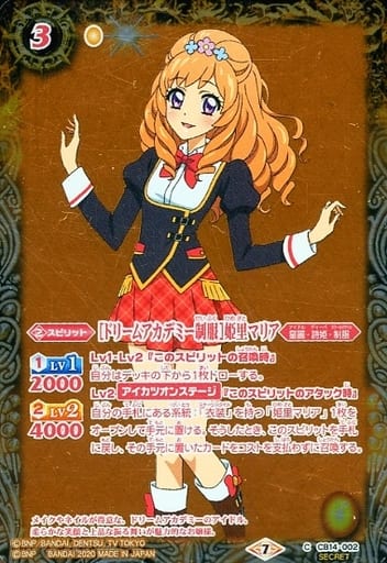 [C-SEC] CB14-002 [ドリームアカデミー制服]姫里マ...
