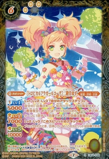 [R] CB14-036 [トロピカルフラガールコーデ]二...