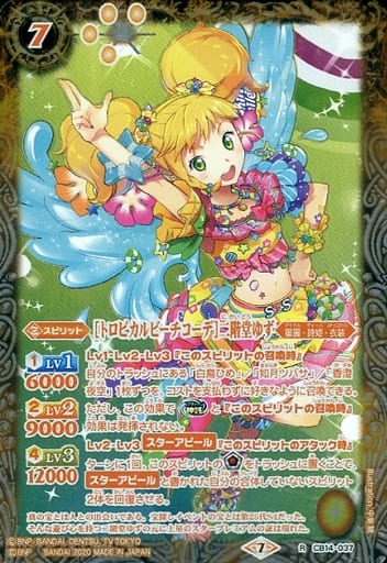 [R] CB14-037 [トロピカルビーチコーデ]二階堂ゆず