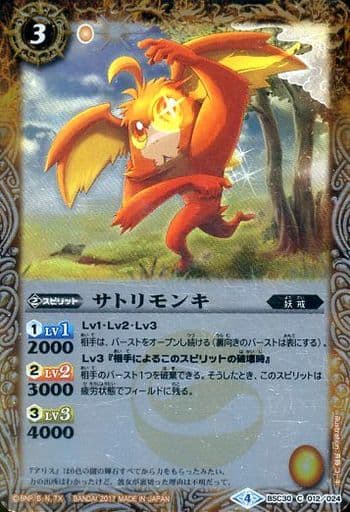 [C] BSC30-012 サトリモンキ