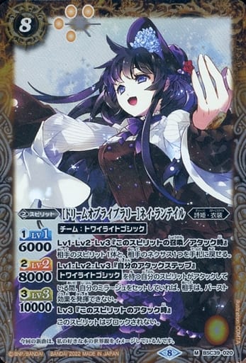 [M] BSC39-020 [ドリームオブライブラリー]ネイ...
