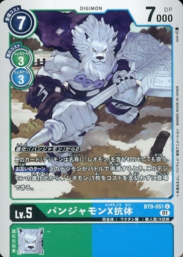 [U] BT9-051 パンジャモンX抗体