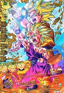 [UR] H2-16 孫悟飯:少年期