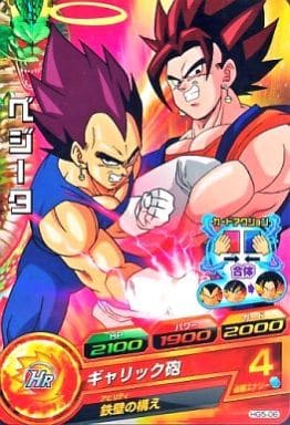[C] HG5-06 ベジータ