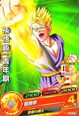 [C] HG6-03 孫悟飯:青年期