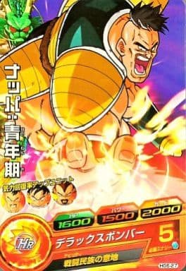 [C] HG6-27 ナッパ:青年期