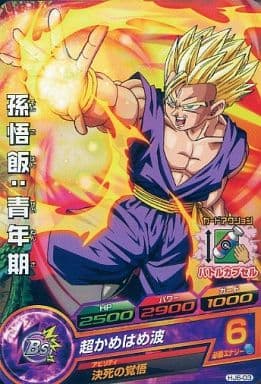 [C] HJ6-03 孫悟飯:青年期
